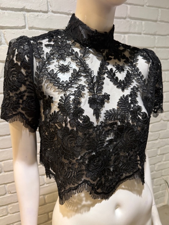 Stone Cold Fox Black Embroidered Lace Crop Top M Mock Neck Sheer Luxe NWOT - Picture 7 of 13